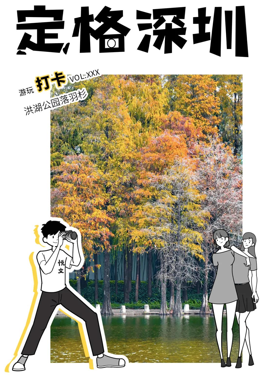 娲箹鍏洯娣卞湷,娲箹鍏洯鑽疯姳