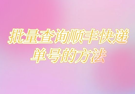 顺丰快递单号查询输入手机号,批量发货的顺丰快递单号怎么查