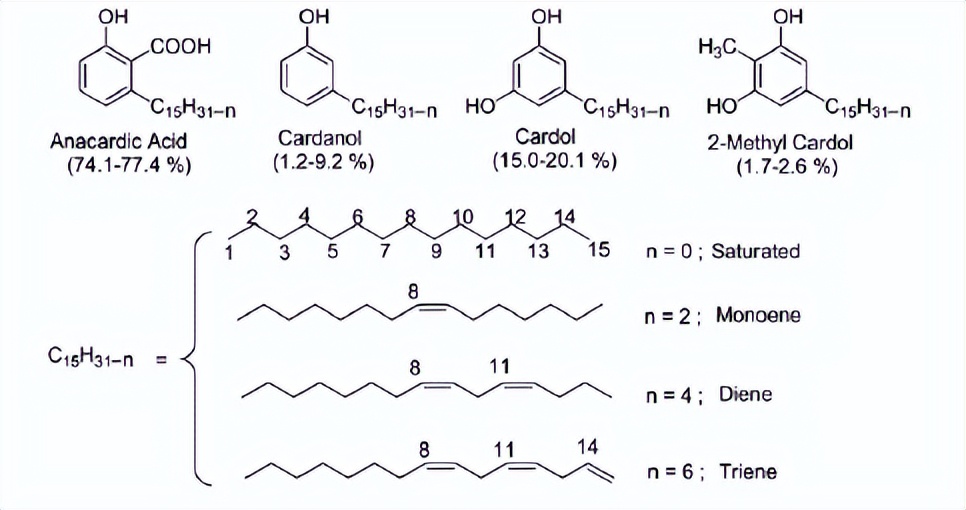 腰果酚型环氧固化剂,腰果酚固化剂的优缺点