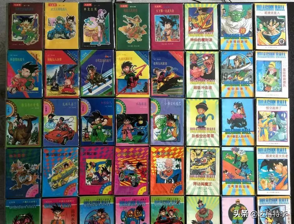 最新体校风云小说,体校风云