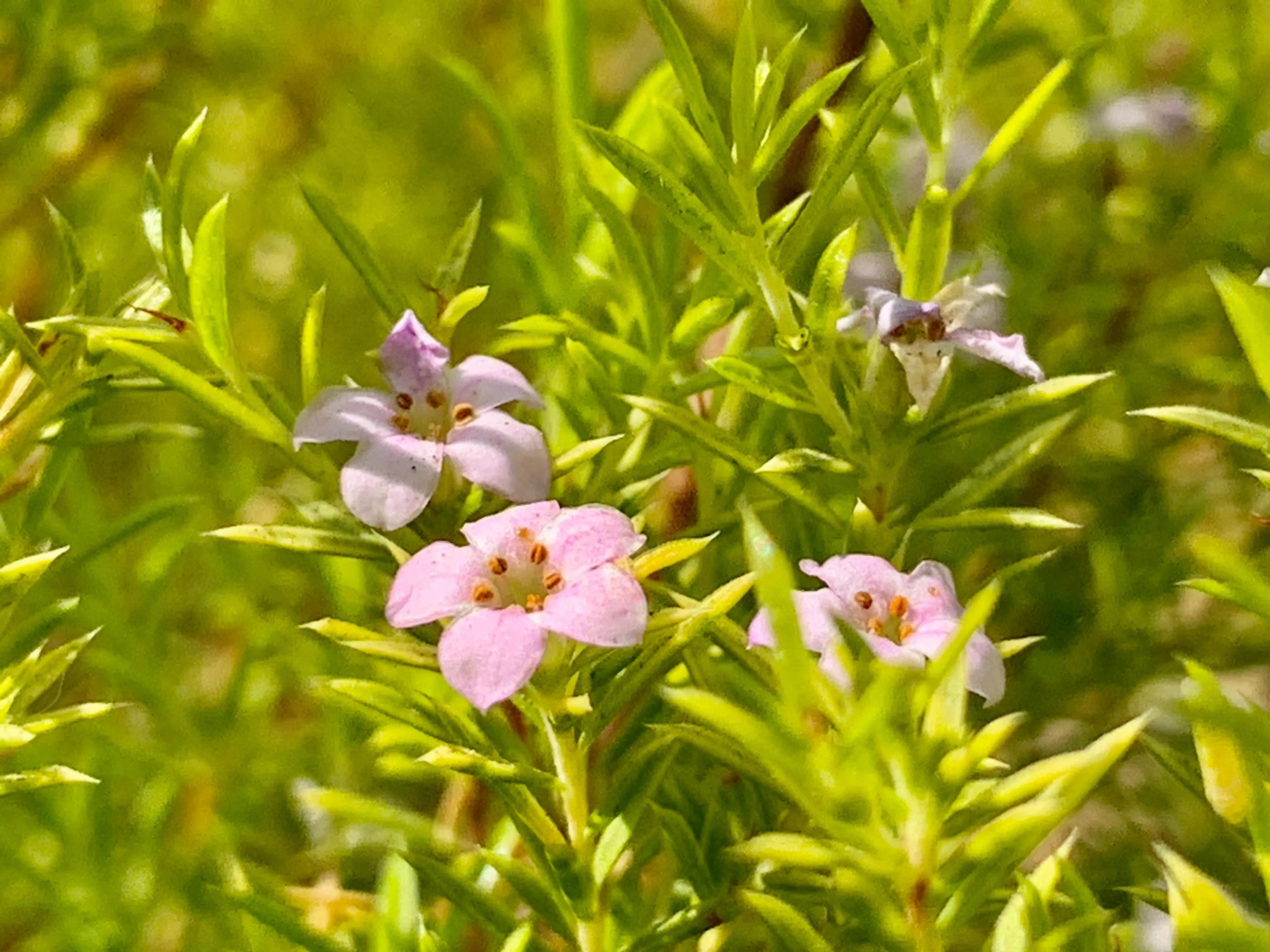 100种迷人的“数字花”,从零到一百万,真是太神奇了