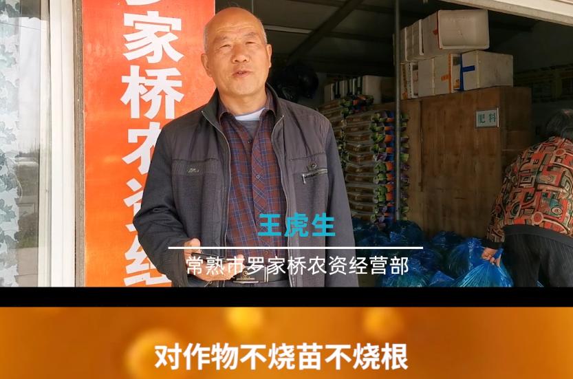 好产品、好服务、好口碑，迪斯科让大家都有好收益