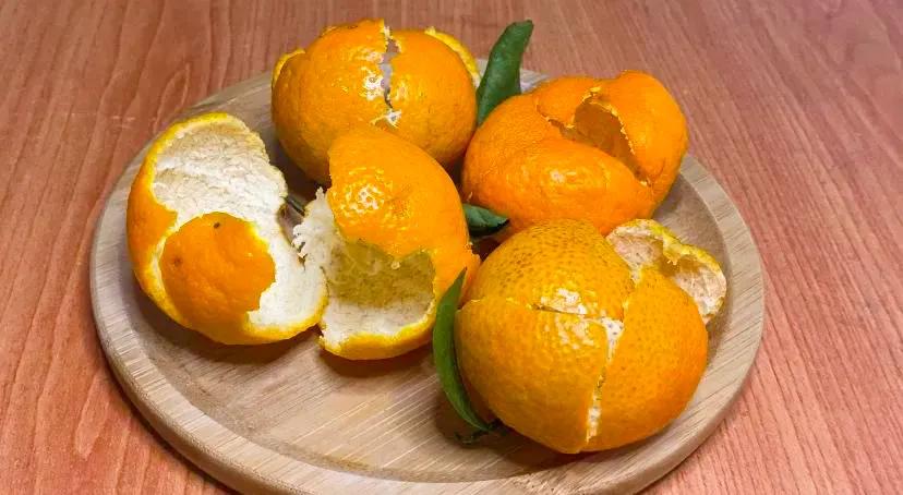 92岁老太吃姜长寿秘诀,百岁老人长寿秘诀视频橘子皮