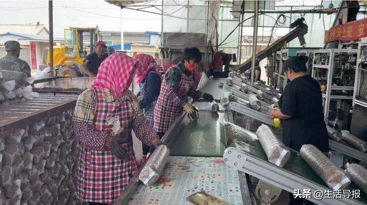 美好生活十年,美好生活最新版