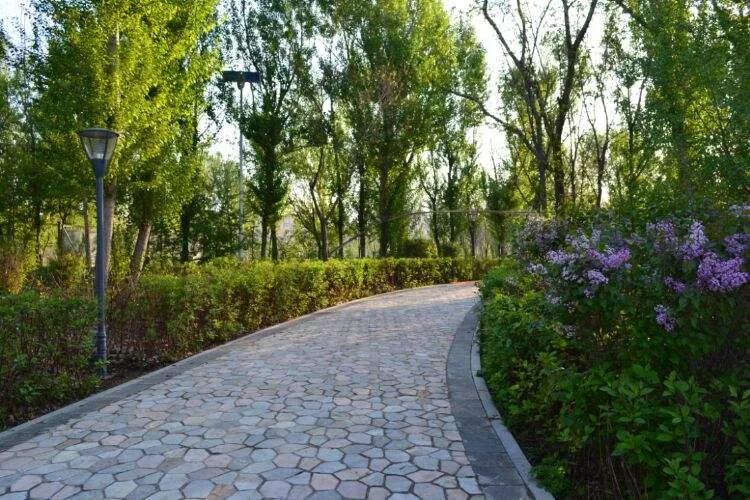 让人惊心动魄的一场乒乓球比赛,一场没赢乒乓球比赛收获了什么