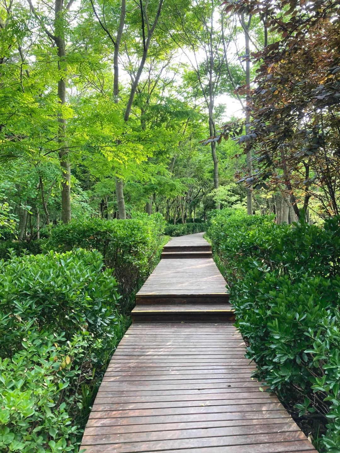 青岛浮山森林公园好玩吗,青岛浮山森林公园开放时间