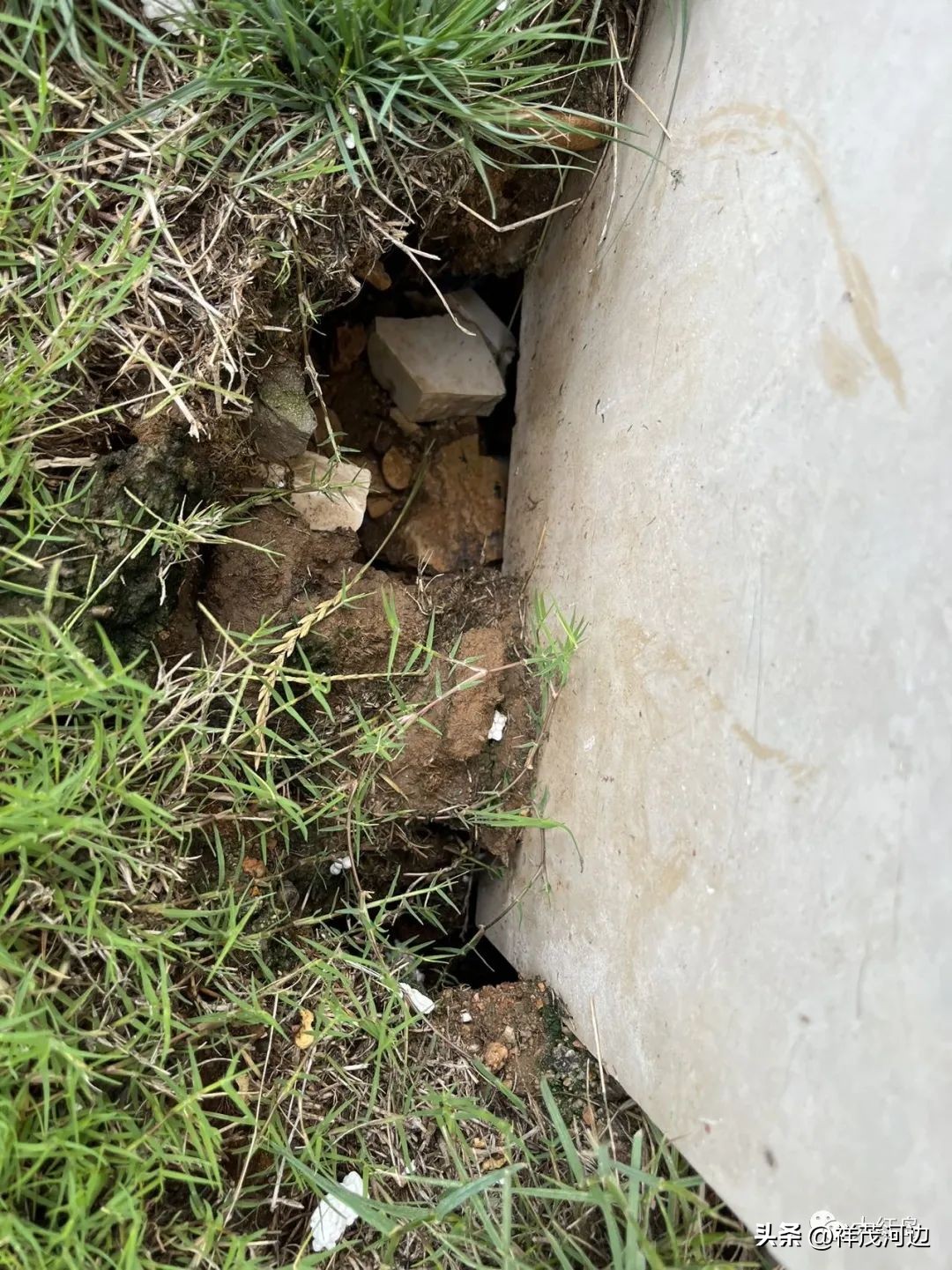 红岛湾新城住宅质量问题,新城红岛湾别墅质量问题