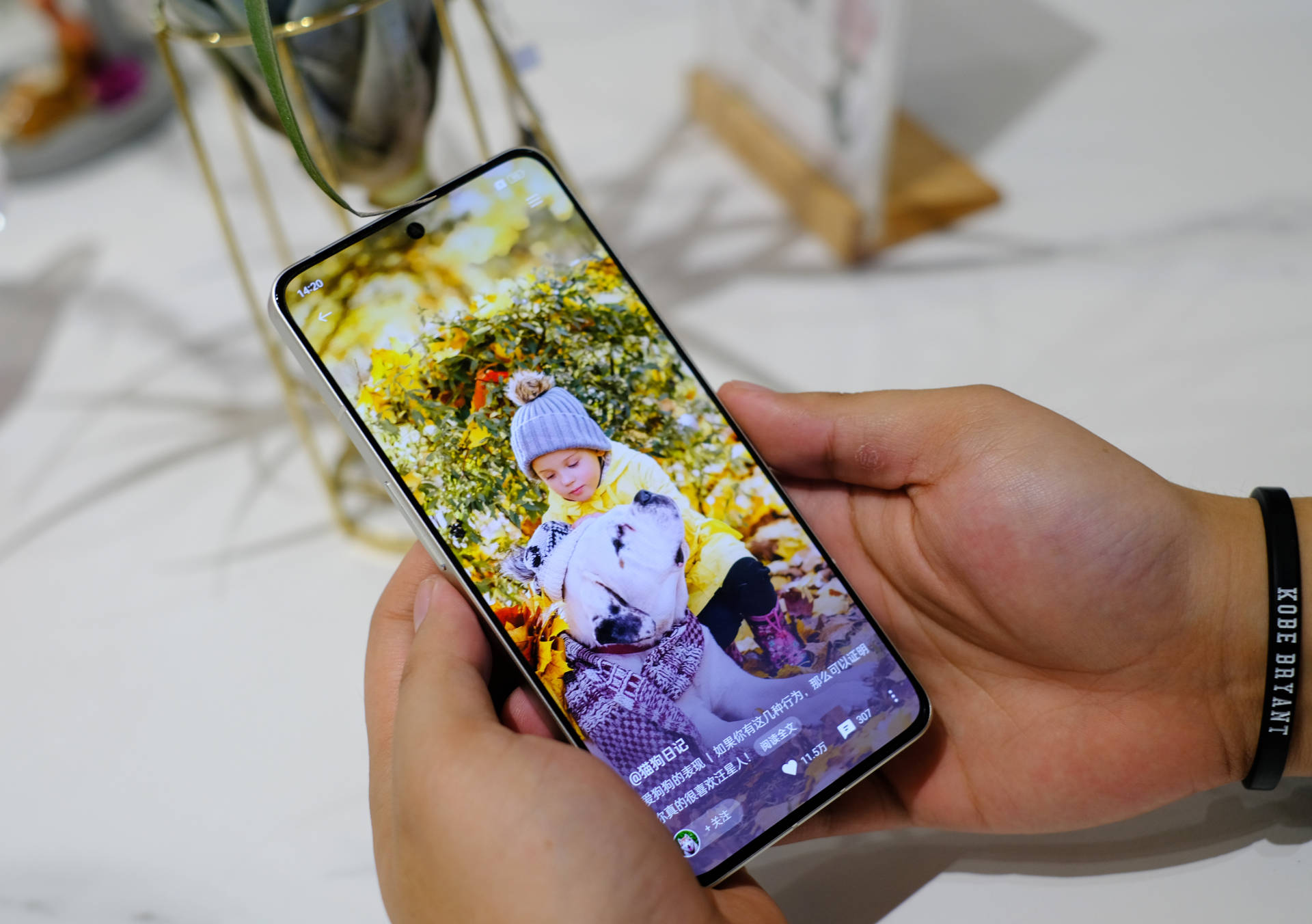 真我gt2大师探索版最新评测,真我gt2大师探索版评测最新