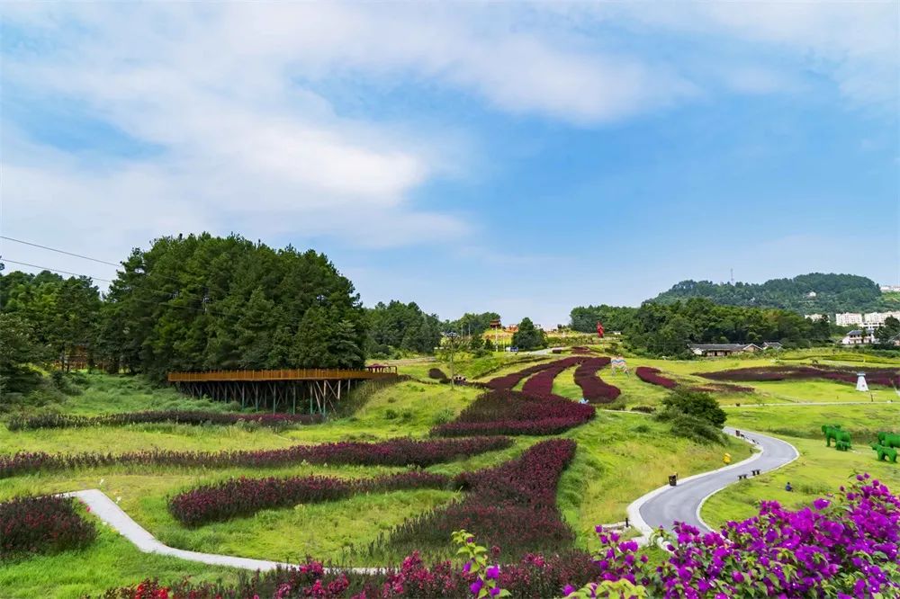 醉美拍点推荐|重庆凤凰谷：夏日畅享慢生活