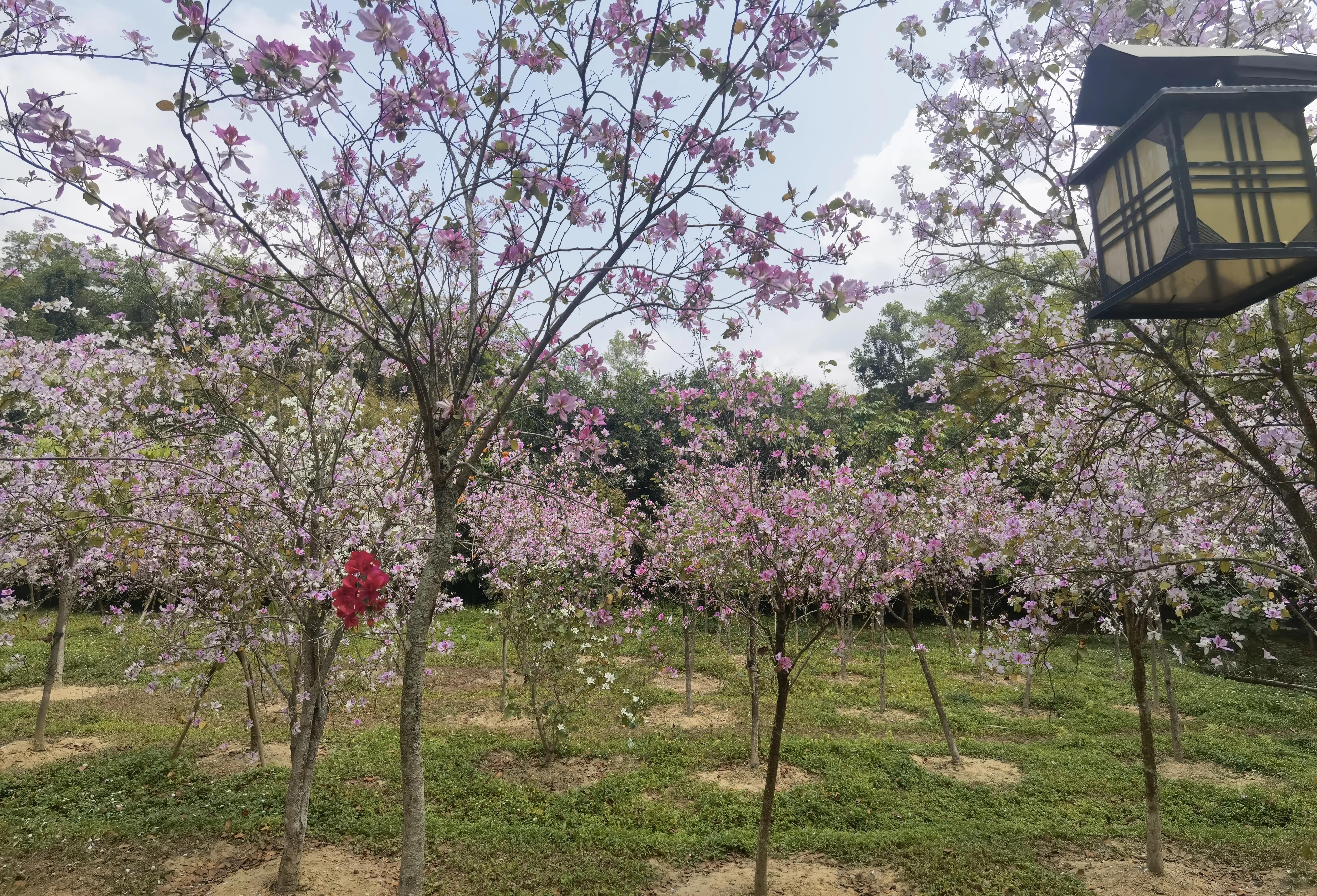 对老板发言的感悟,任老板发言视频