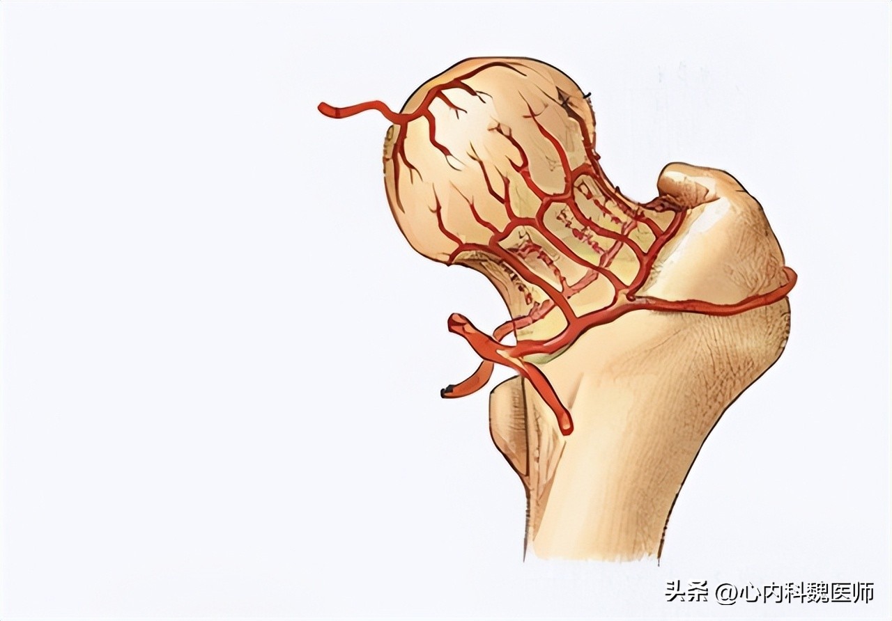 身体有病胯骨知道,身体有多处问题怎么看医生