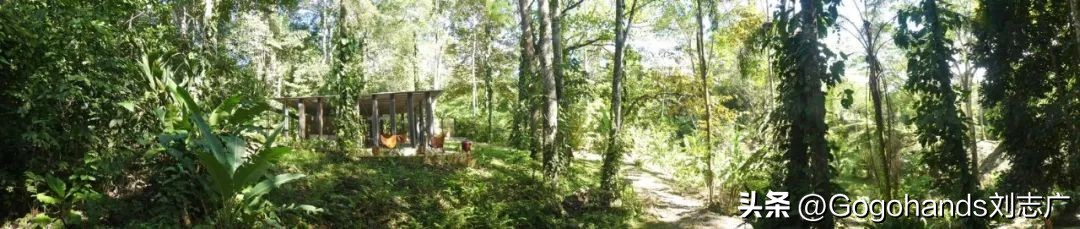 昆明专业民宿设计方案,低成本民宿建设