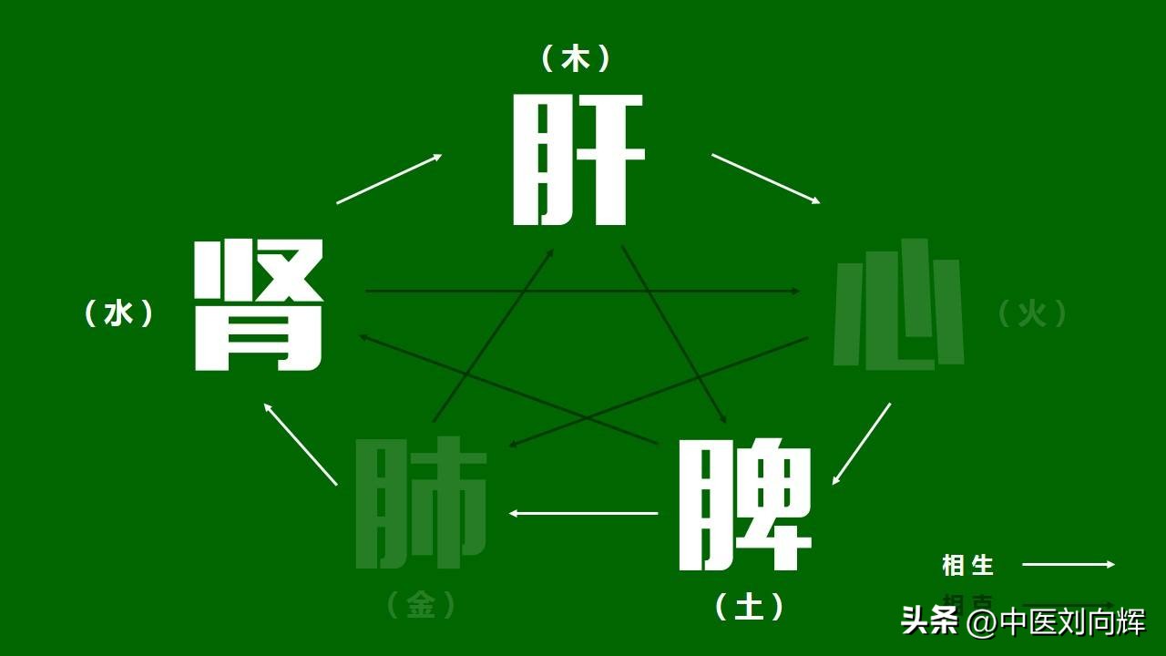 脾胃湿热下焦湿热大腿潮湿,大腿深处湿热吃什么中成药