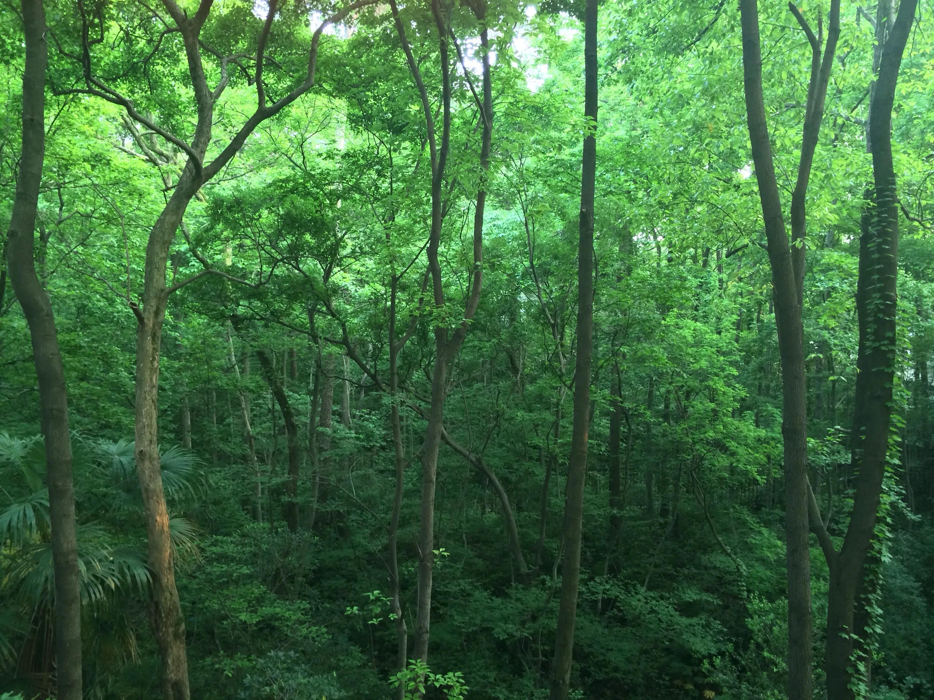 南京情侣美食打卡景点,南京打卡景点推荐