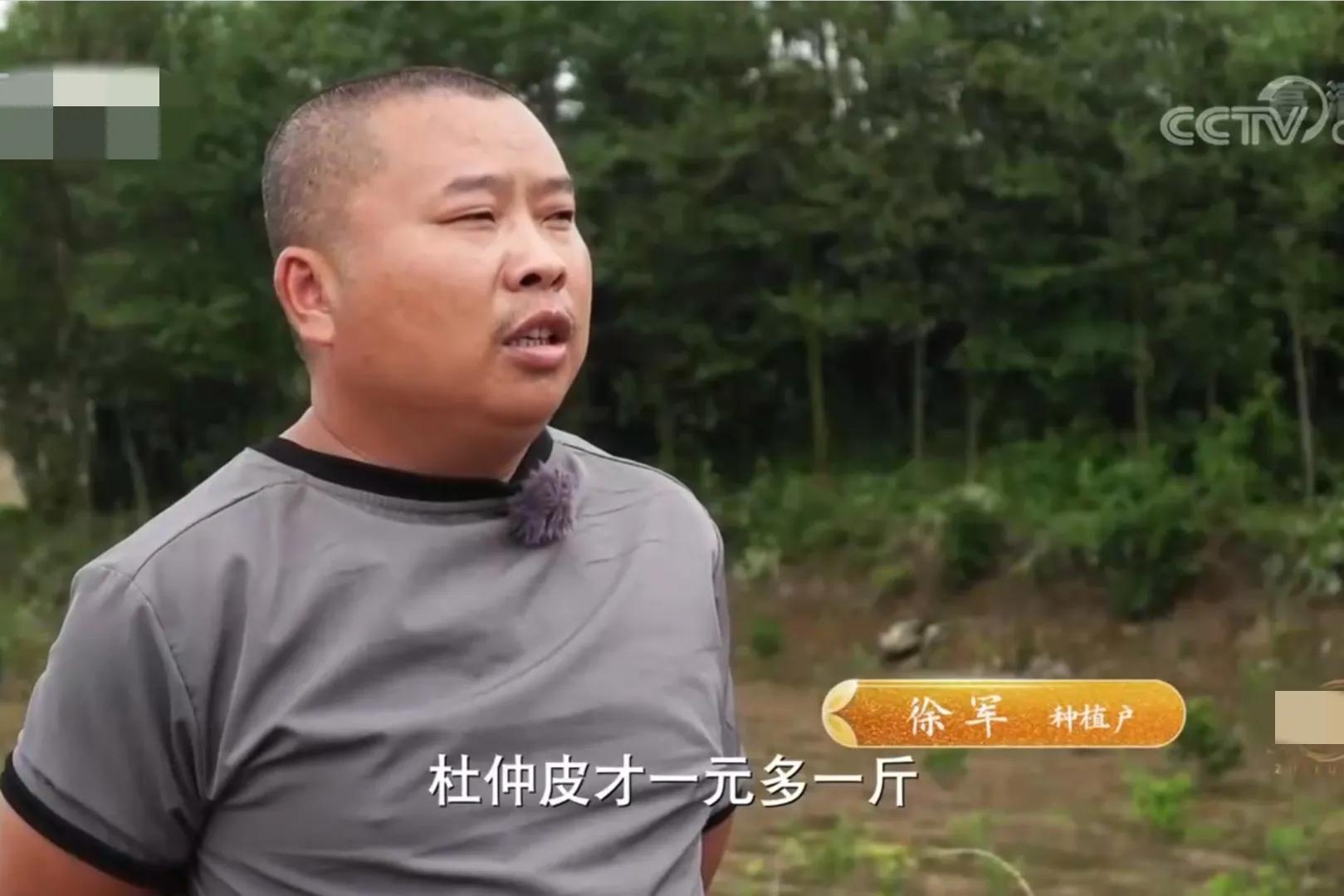 湖南男子钻进深山，将杜仲树叶变成宝，一年卖出上百万元