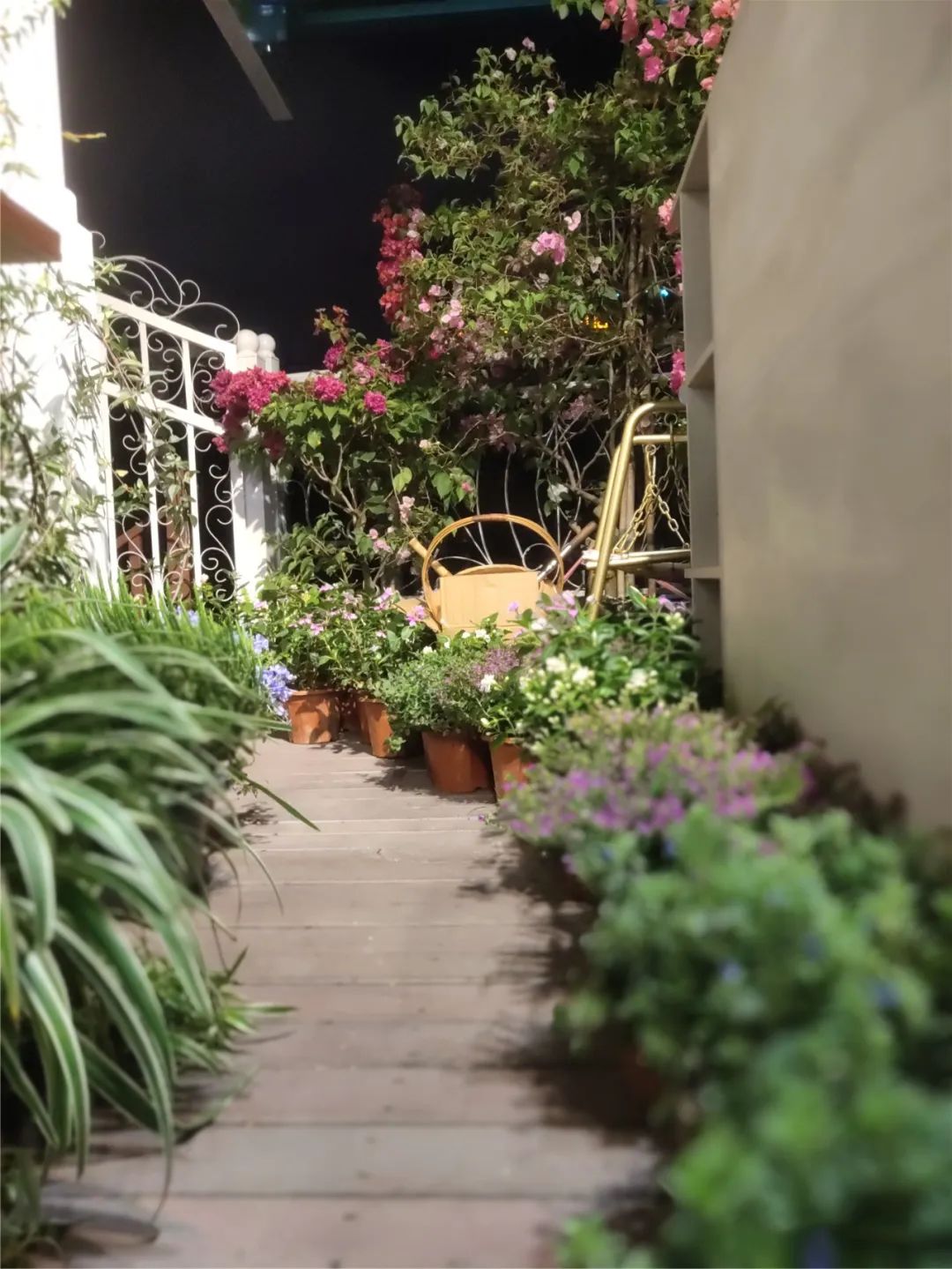 她只想回归自然，开花店却一年净利润50多万元——南宁小姐姐将理想照进了现实