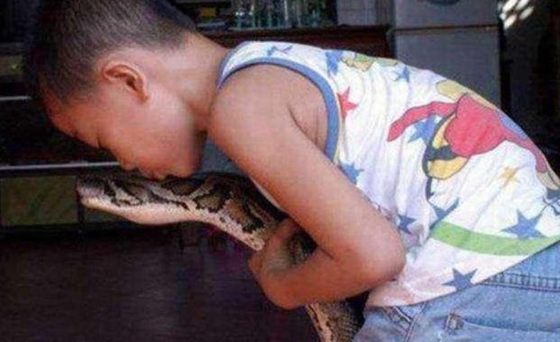 巨蟒为报恩守护十几年,96年海南巨蟒