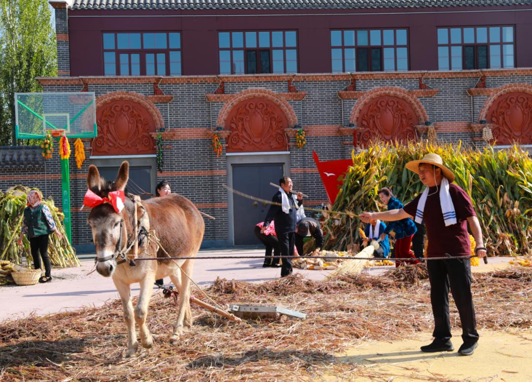 奋楫扬帆开新局凝心聚力谱新篇,奋楫扬帆劈波斩浪