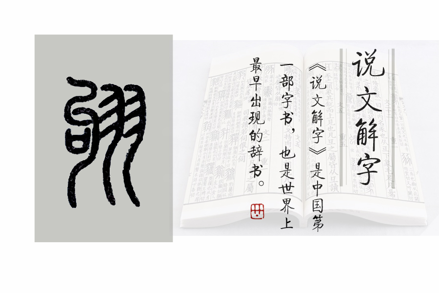 《说文解字》第692课：成语“羽翮飞肉”的“翮”是什么意思？