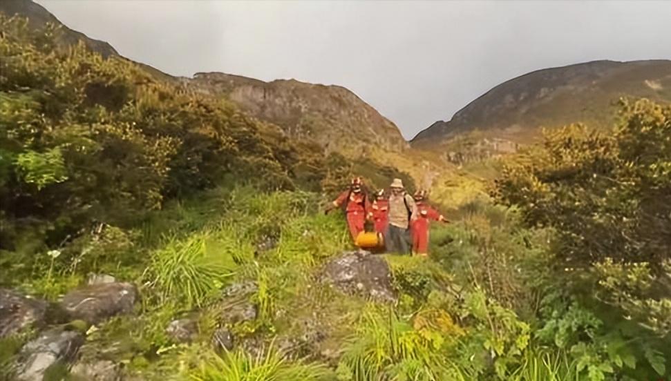 小伙捡到一块长满“金子”的石头,男子散步捡到会发光的石头给20万