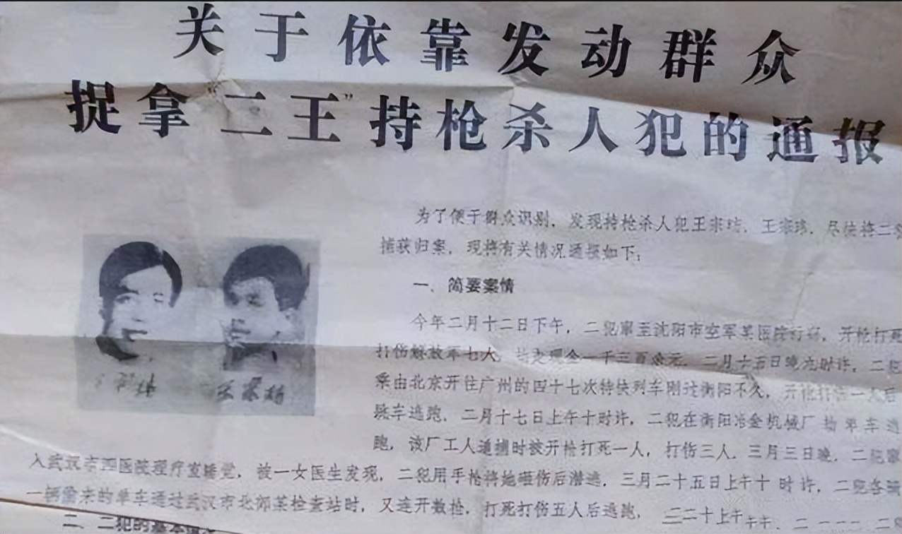 解密东北二王特大杀人案,十大悍匪纪实档案完整版东北二王
