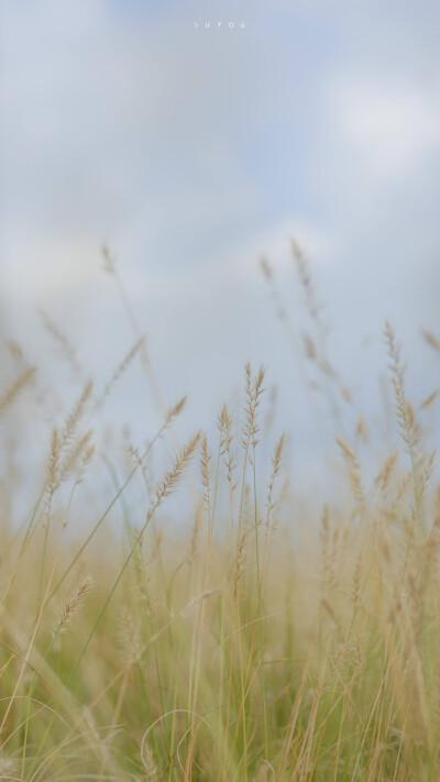 时光流逝蓦然回首散文,岁月微凉的经典散文