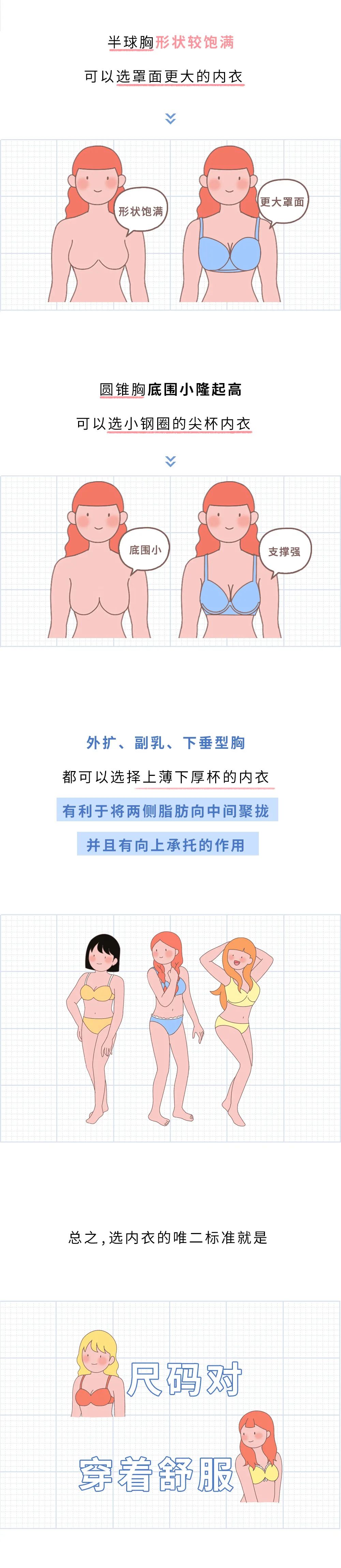 女士罩杯怎么算大小,女性胸部是怎么计算大小的