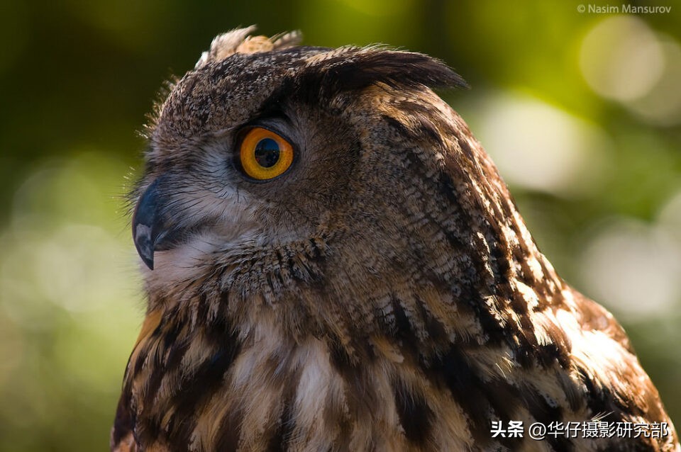 如何拍清晰度高的照片用什么相机,相机如何设置拍出清晰通透的照片