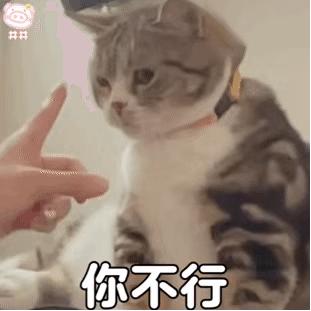 电脑端观影神器,电脑端免费观影神器