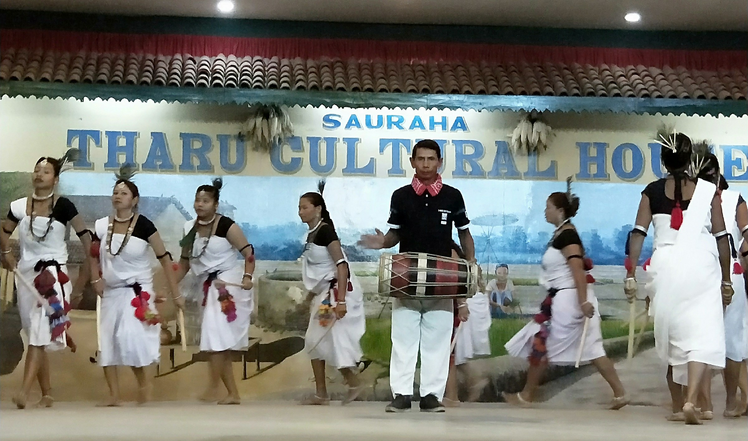 云中鹤游学,云中鹤户外