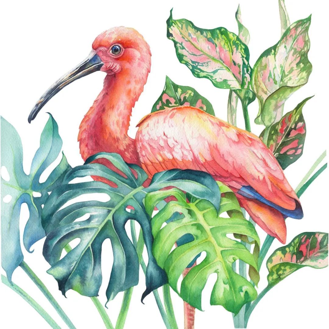 用色大胆的水彩作品,大神级水彩作品看完肯定不后悔