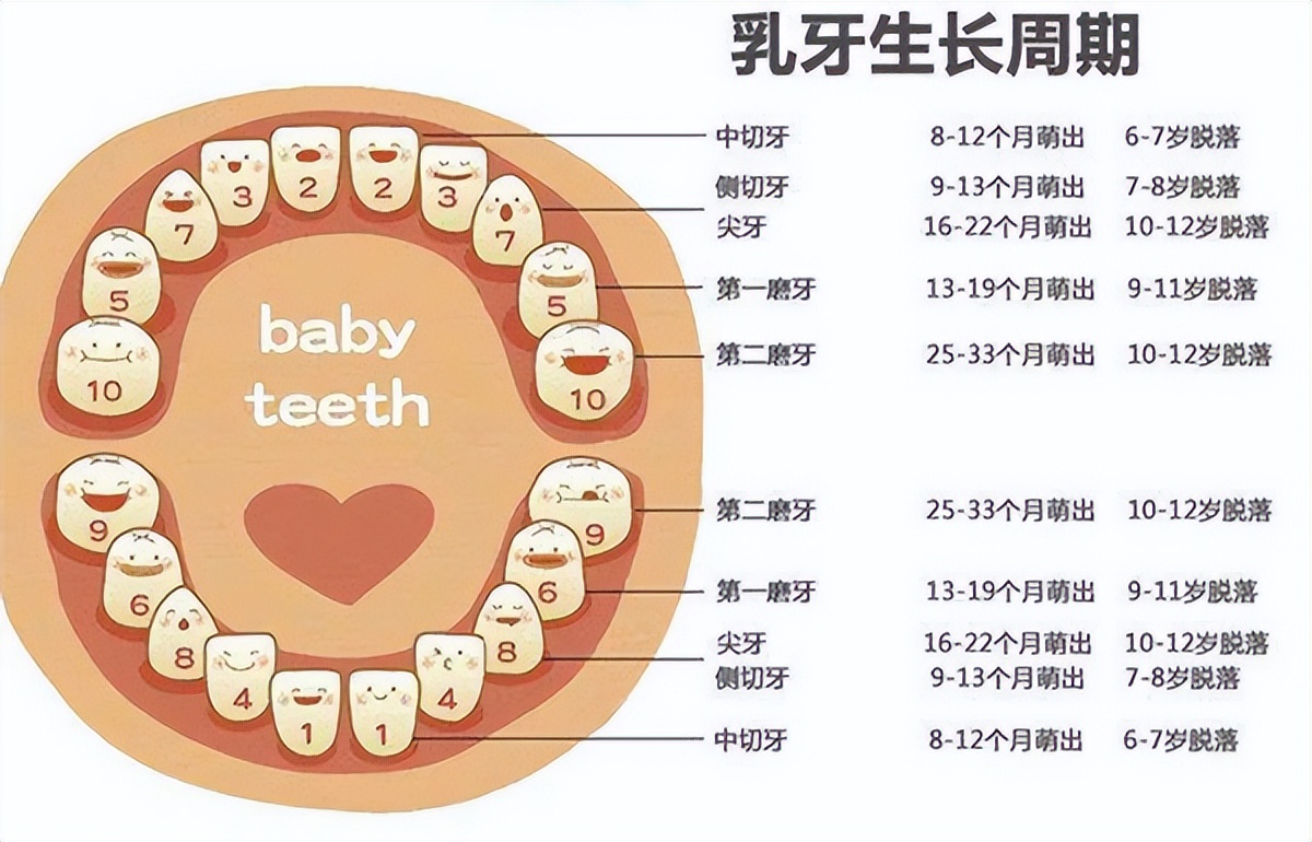 usmile和飞利浦电动牙刷测评,买电动牙刷好还是冲牙器好