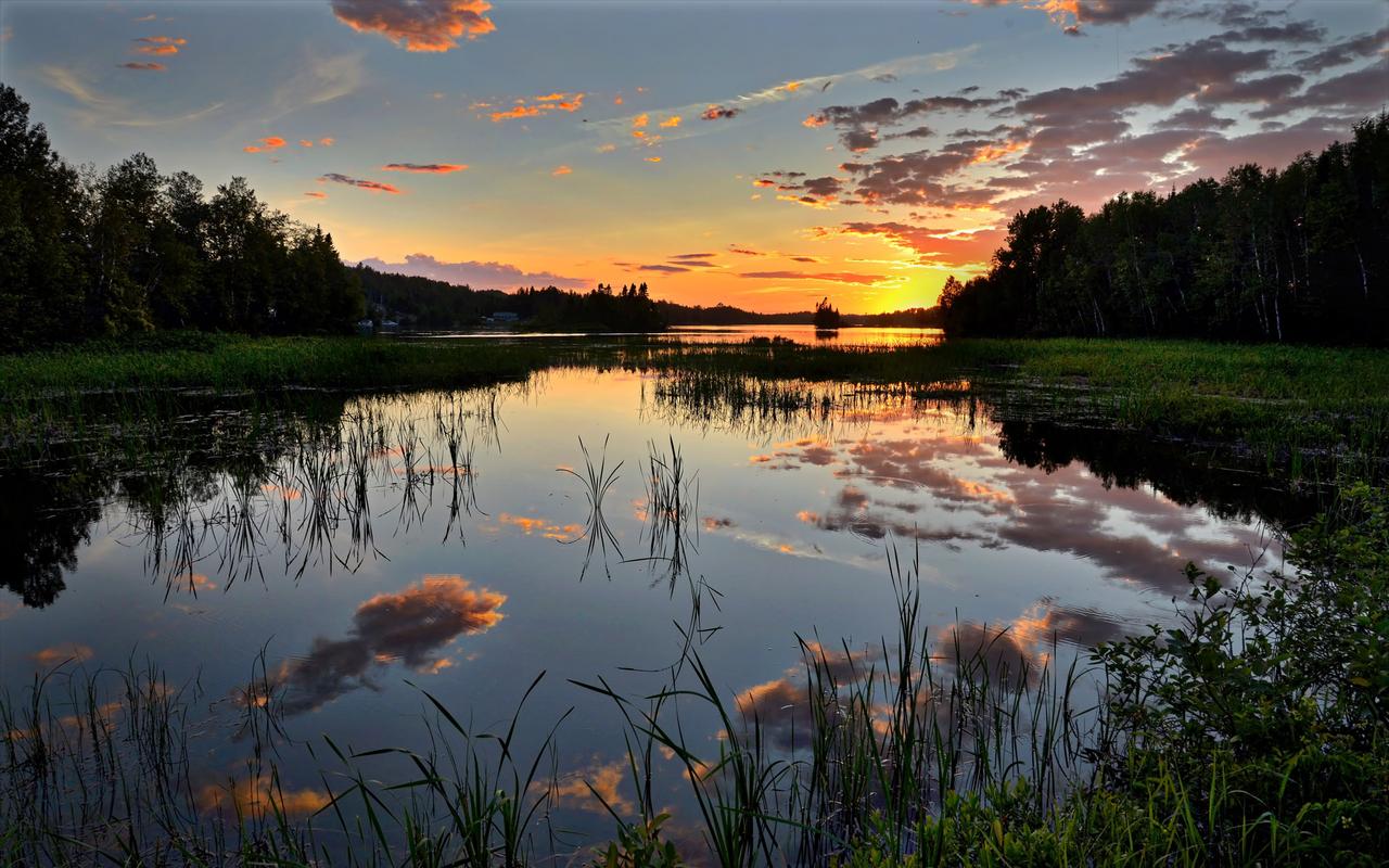 肾气不固要调养多久,肾气虚弱精关不固中医如何调理