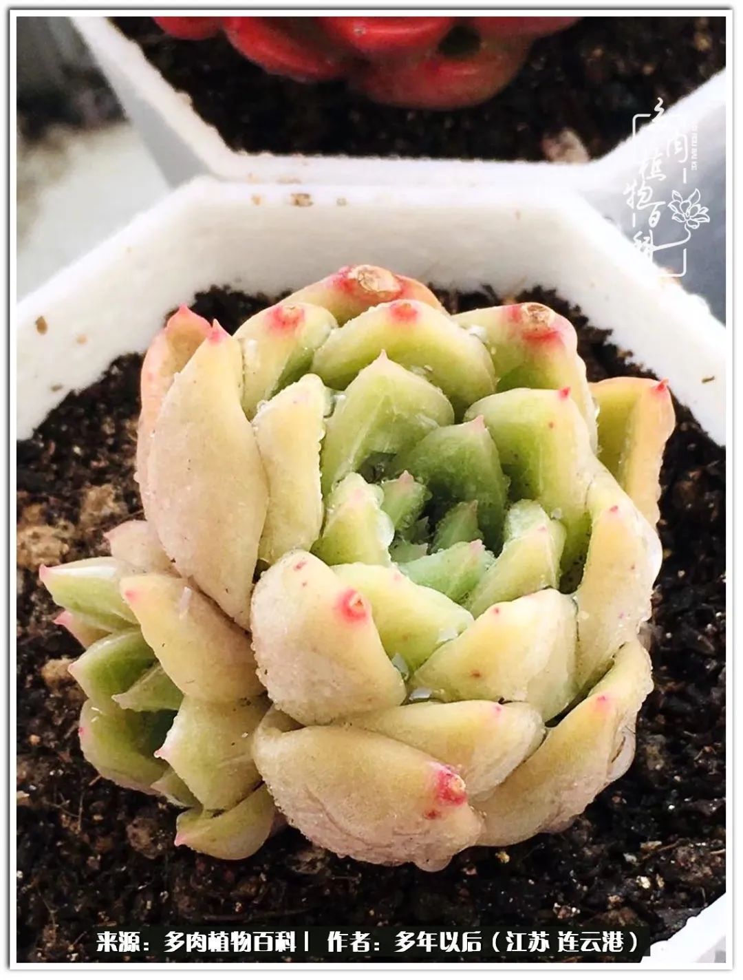 我若不弃，愿你不负我所期