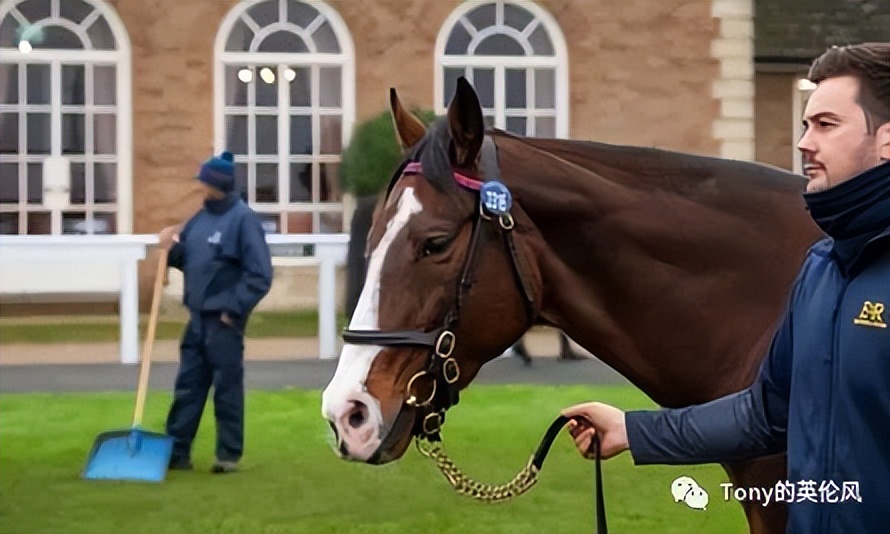 英媒曝光丑闻,英国皇室资产缩水