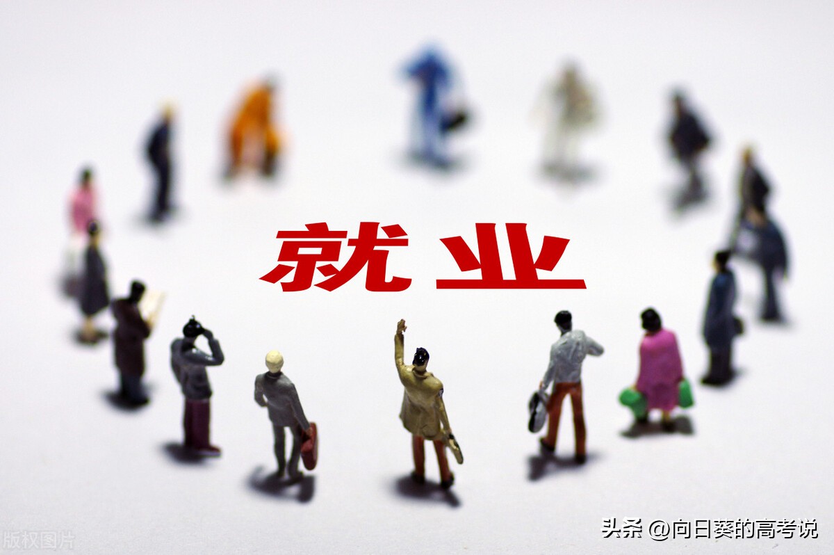 文科专业比较好就业的专业有哪些,文科十大吃香的专业是什么专业