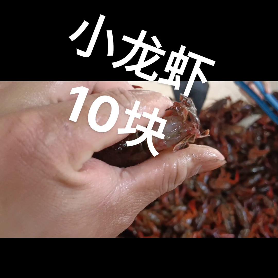 湖北什么季节盛产小龙虾,江苏小龙虾几月份开始上市