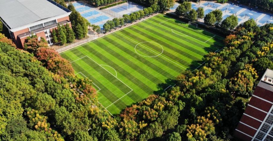 湖北排名前十的民办高校,湖北省高校在全国高校排行榜