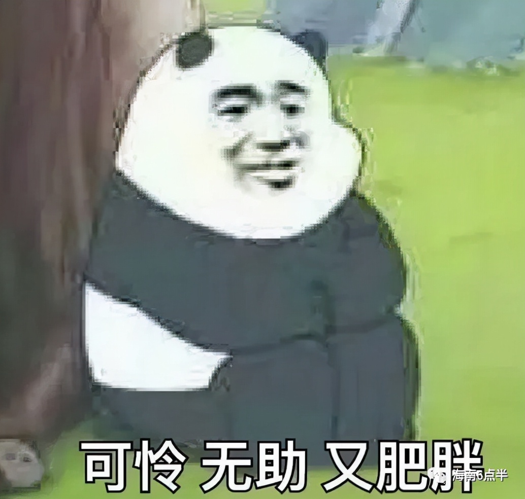 海南工资那么低为什么还有人落户,海南工资低没人管吗