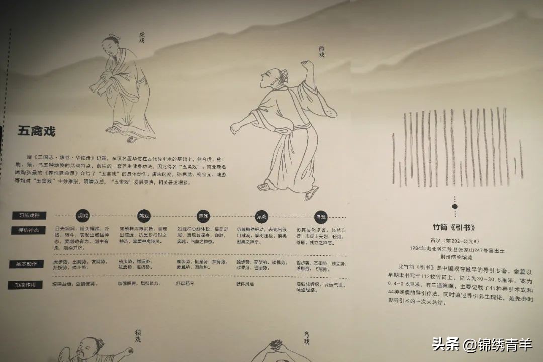 太热了不想运动,太热了不想动