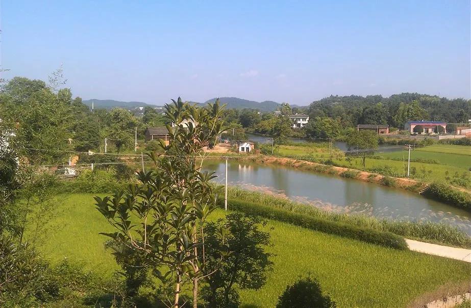 湖南宁乡道林镇,长沙市道林镇