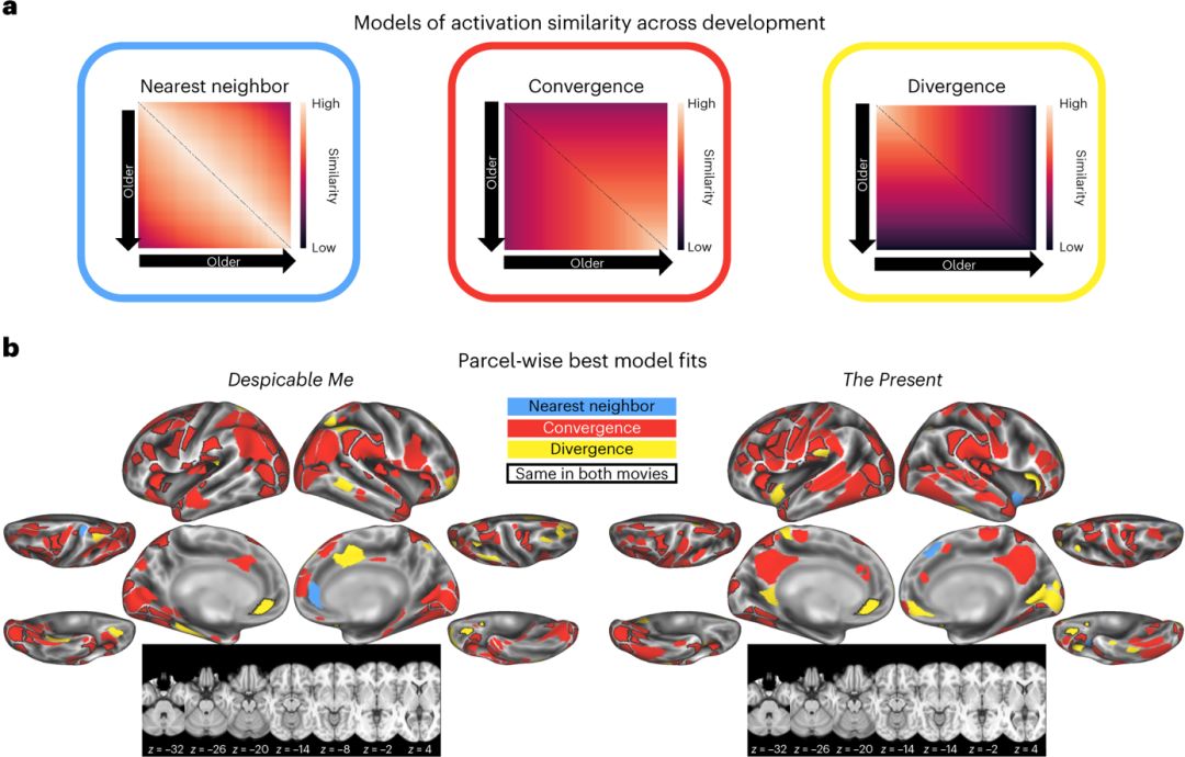 NatNeurosci：揭秘人类情感概念发展的神经影像表征的变化