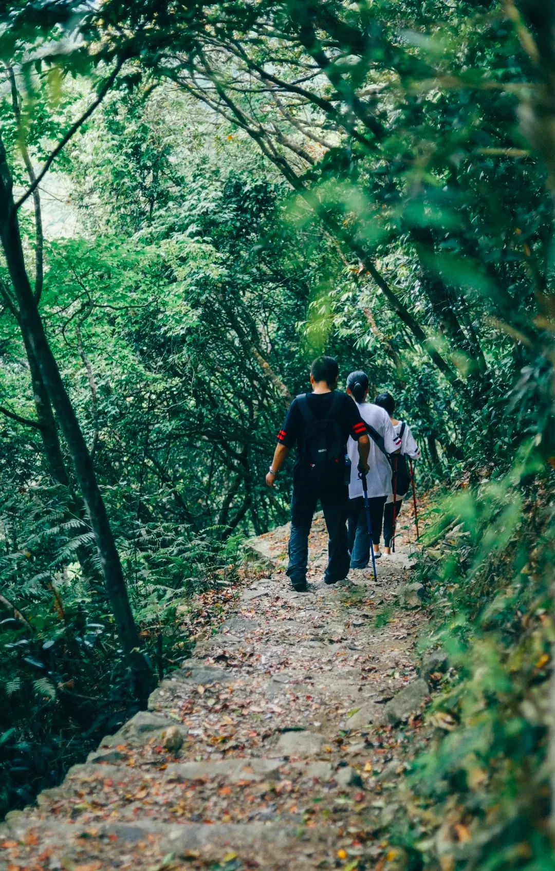 周末来深圳这10个地方免费玩,深圳周末去哪玩免费的地方