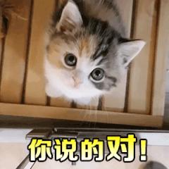 手术排队多久,手术排期临时调整