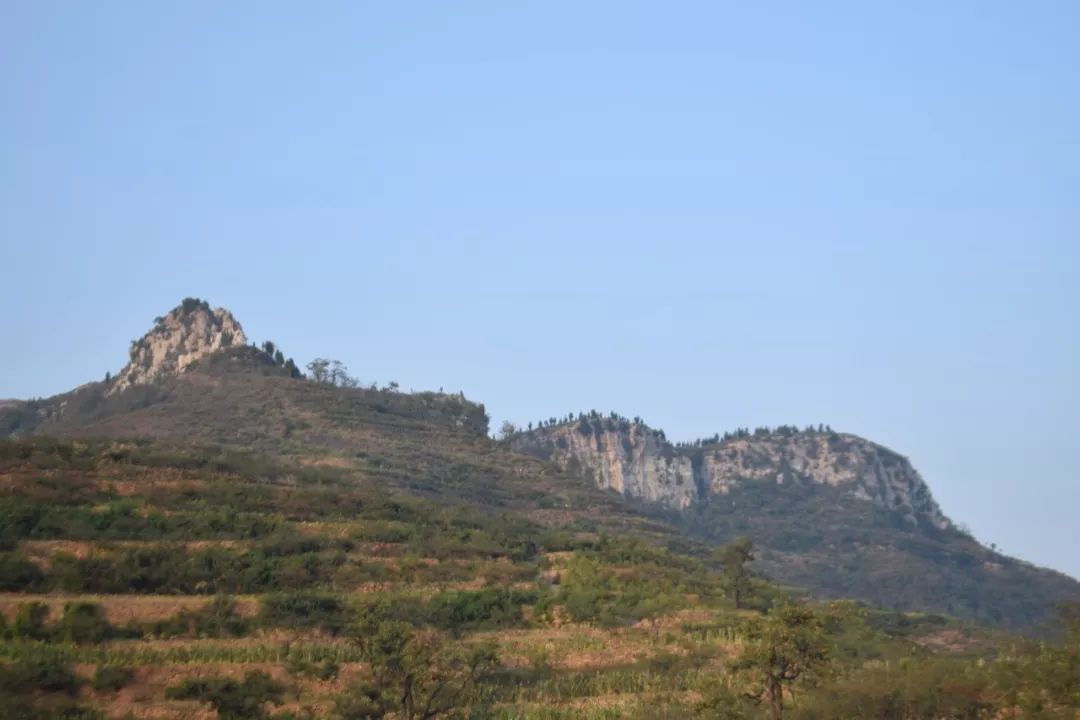 莱芜樱桃文化节,莱芜樱桃文化旅行节