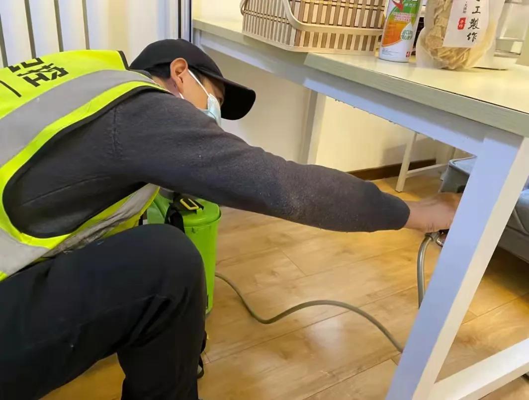 简易灭蟑法,目前最好的灭蟑药