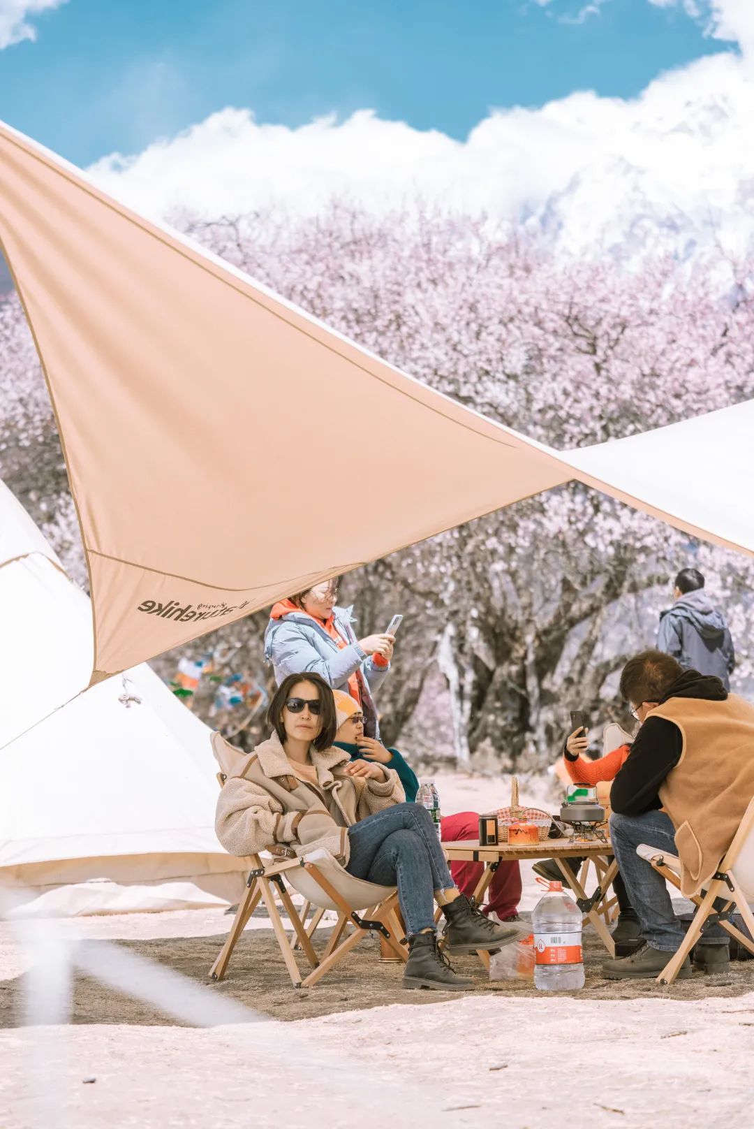 林芝花期预测,林芝桃花最佳观赏时间气温