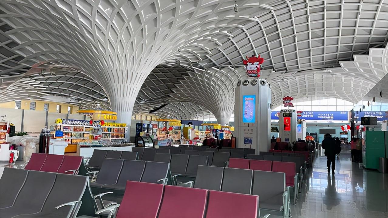 没有身份证坐飞机需要带什么证件,没带身份证坐飞机详细流程