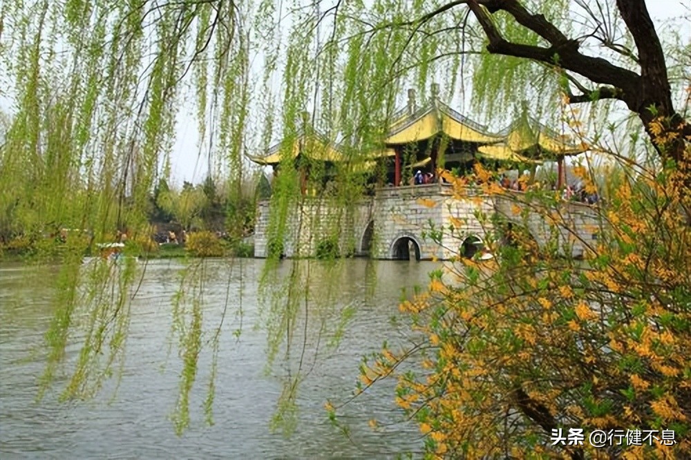 关于咏柳著名诗句及其赏析,咏柳经典诗词100首