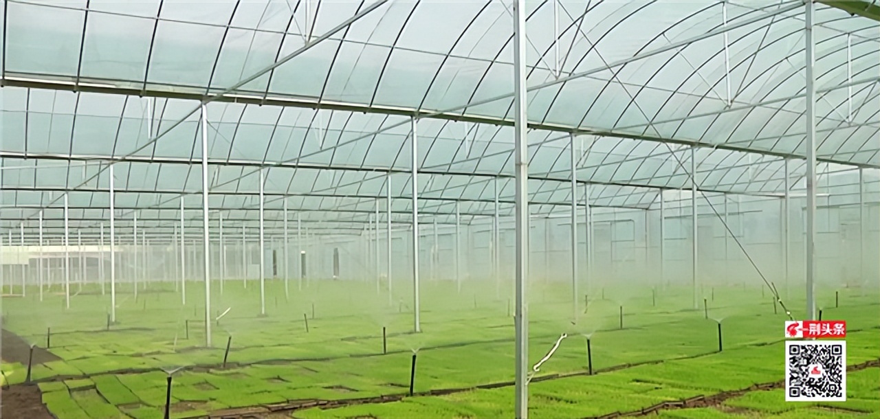 从发展实践看乡村振兴,沿红色足迹探索乡村振兴密码